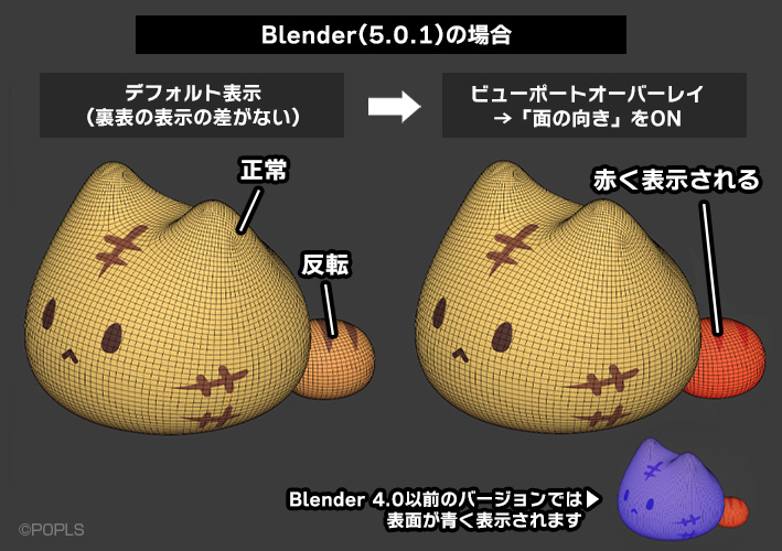 裏面確認方法の例