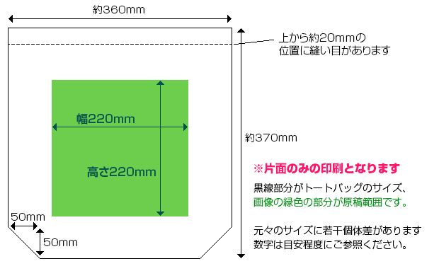 サイズ