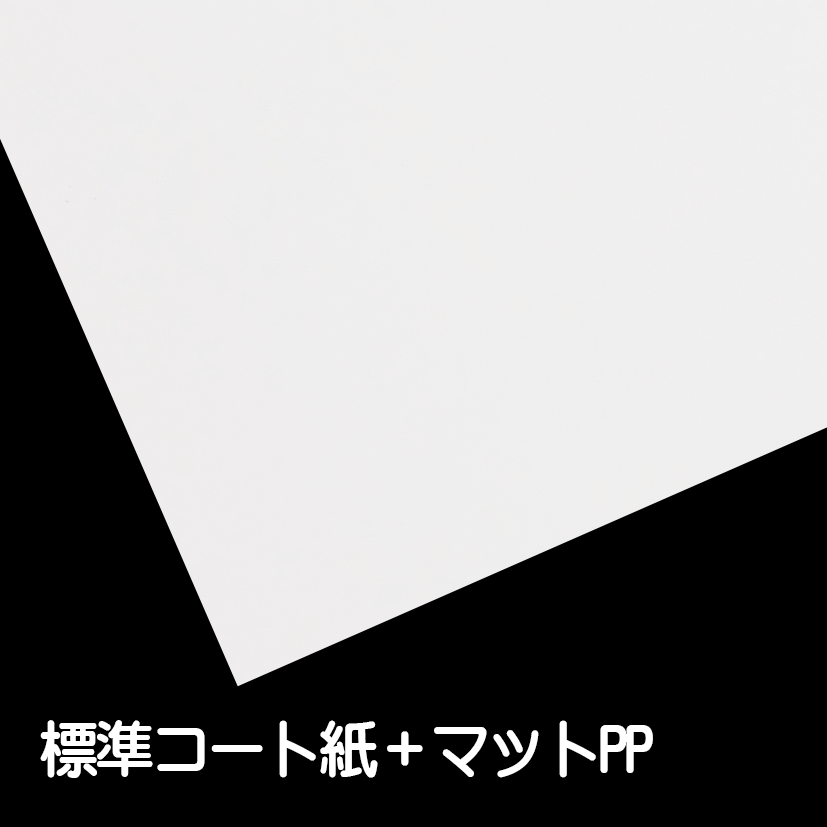 標準コート＋マットPP