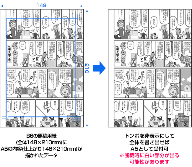 B6全体にA5