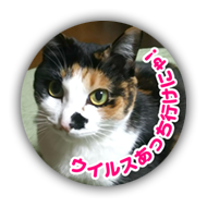 作例